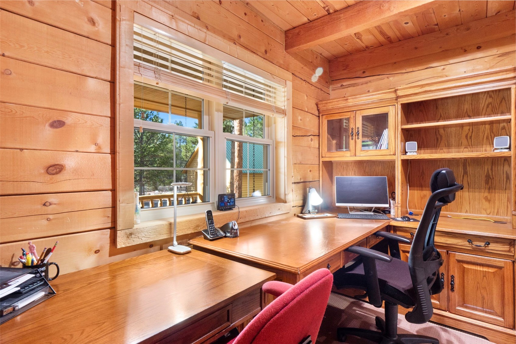 115 Lupine Lane Leadville CO 80461