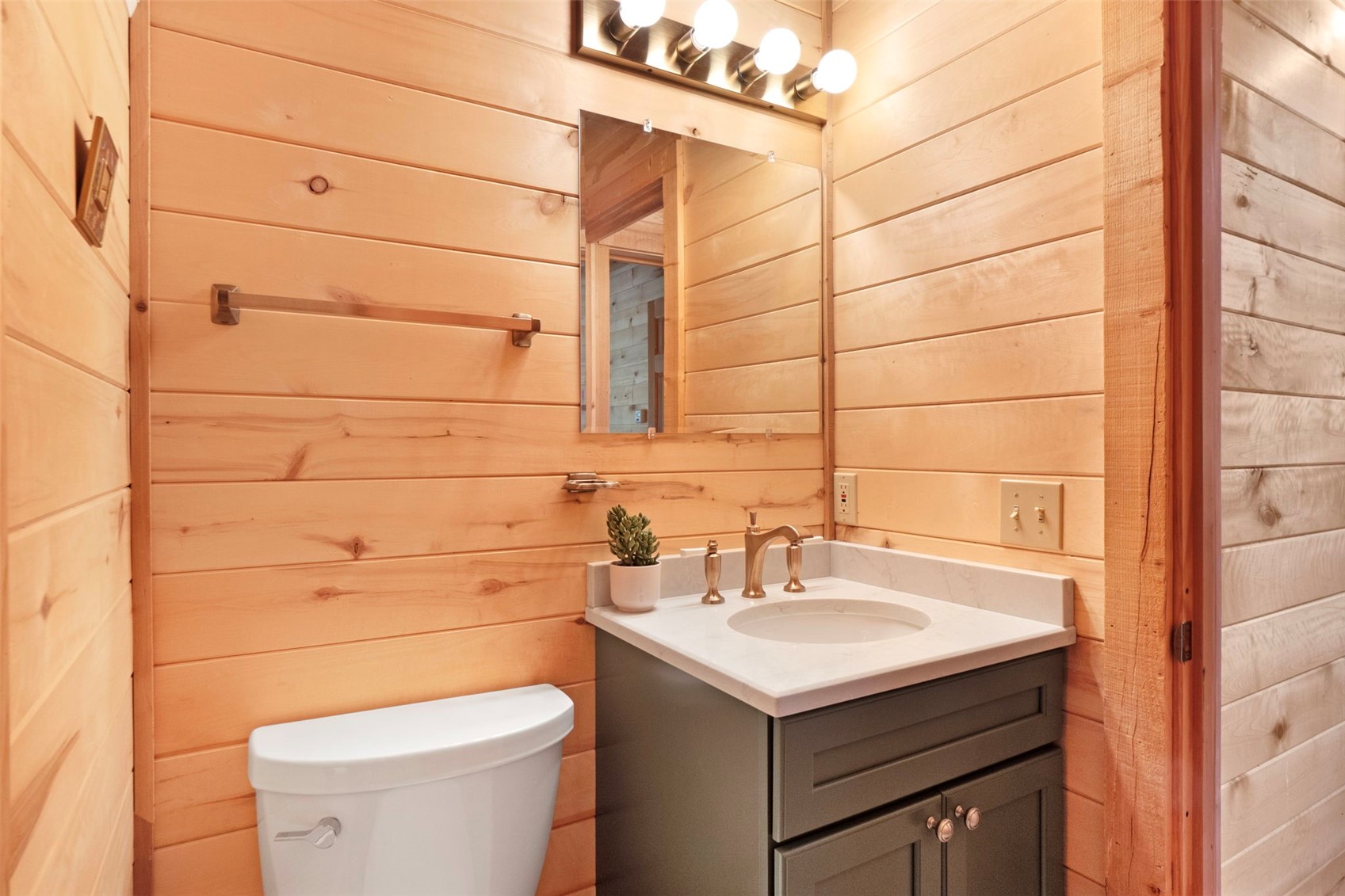 115 Lupine Lane Leadville CO 80461