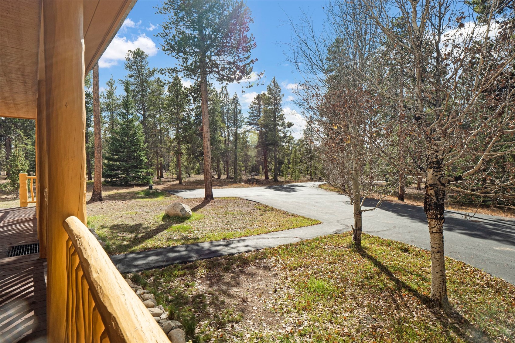 115 Lupine Lane Leadville CO 80461