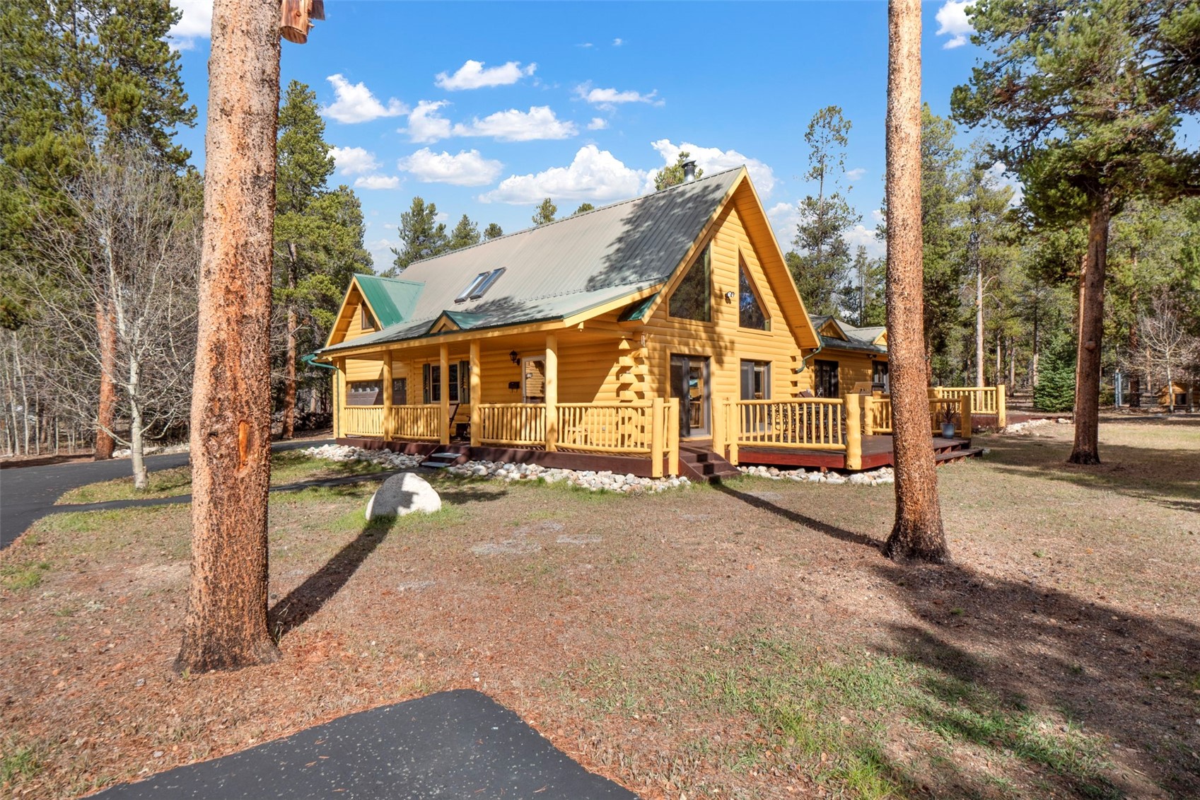 115 Lupine Lane Leadville CO 80461