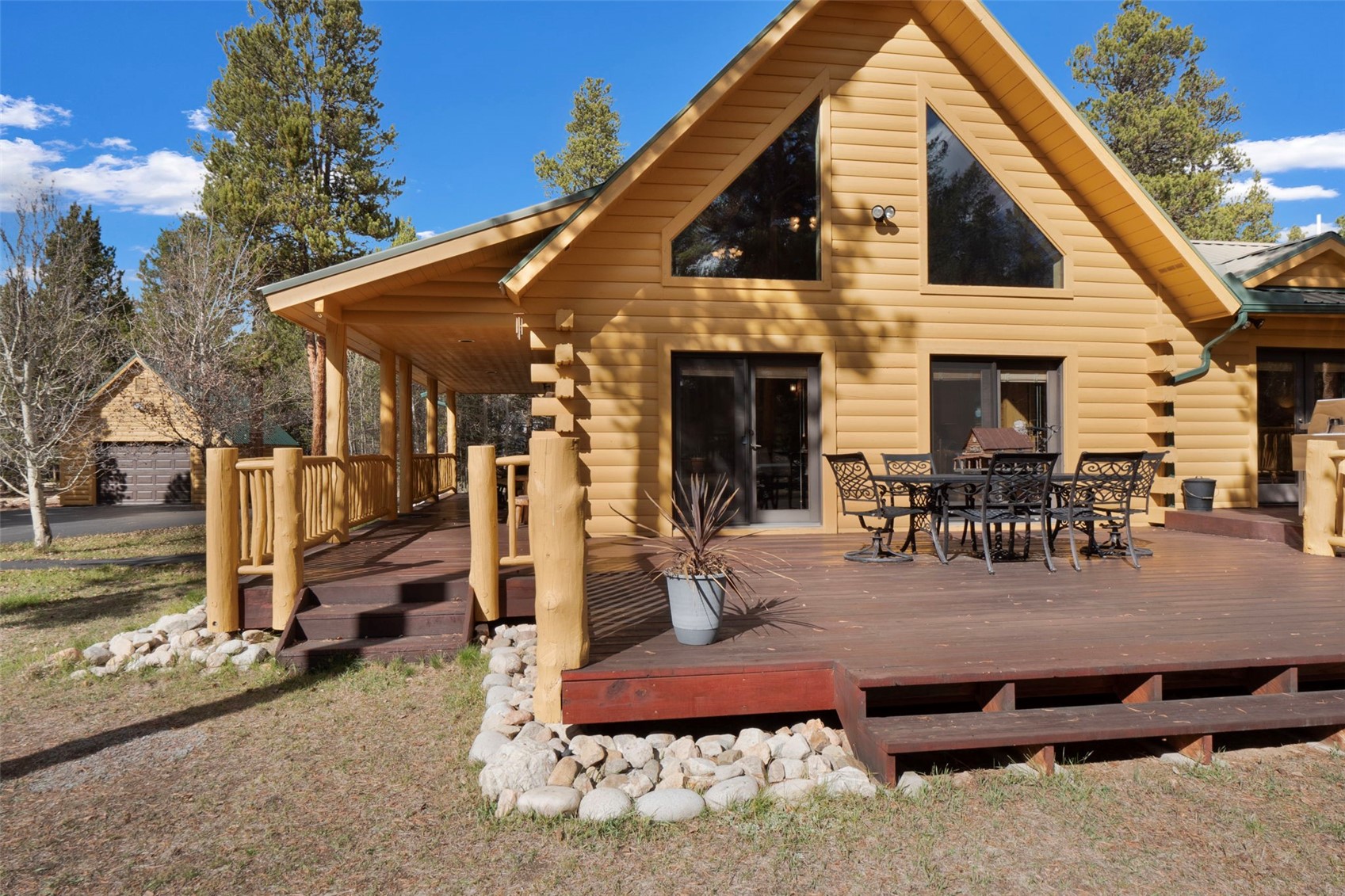 115 Lupine Lane Leadville CO 80461