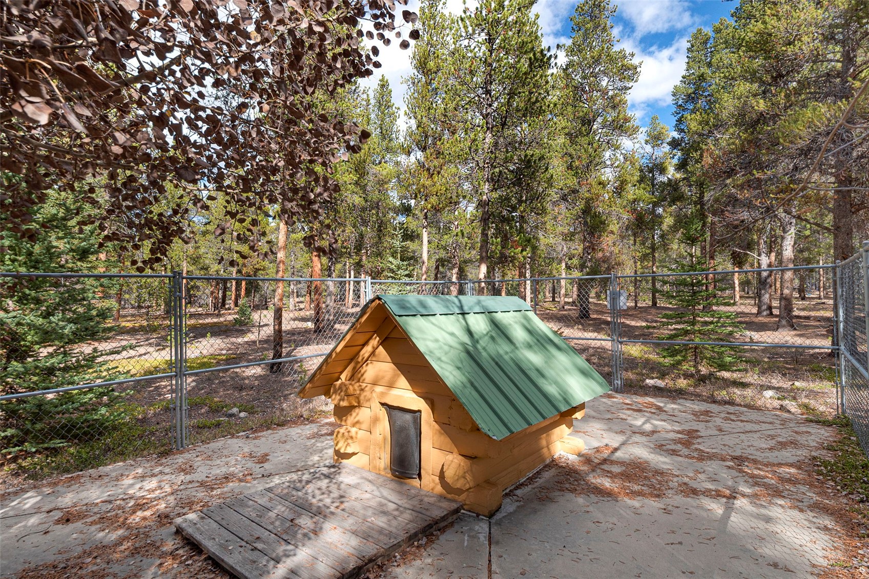 115 Lupine Lane Leadville CO 80461