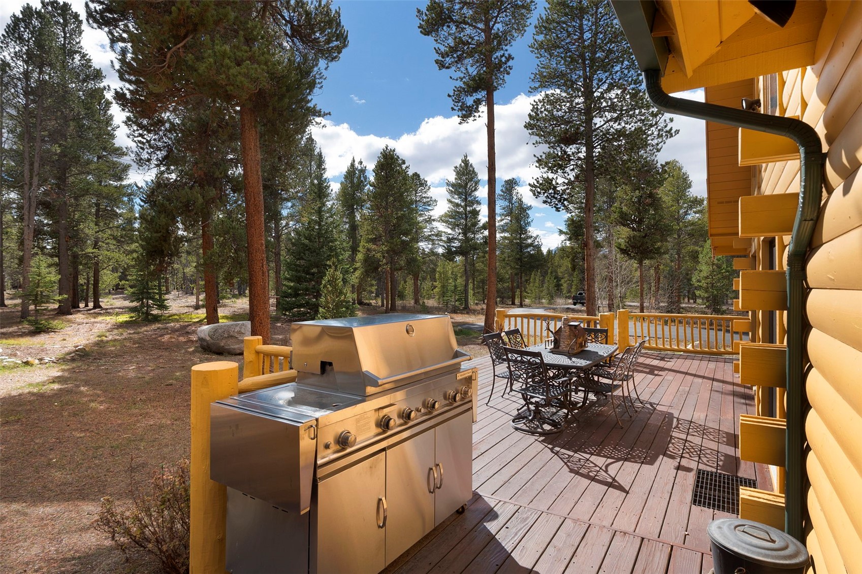 115 Lupine Lane Leadville CO 80461