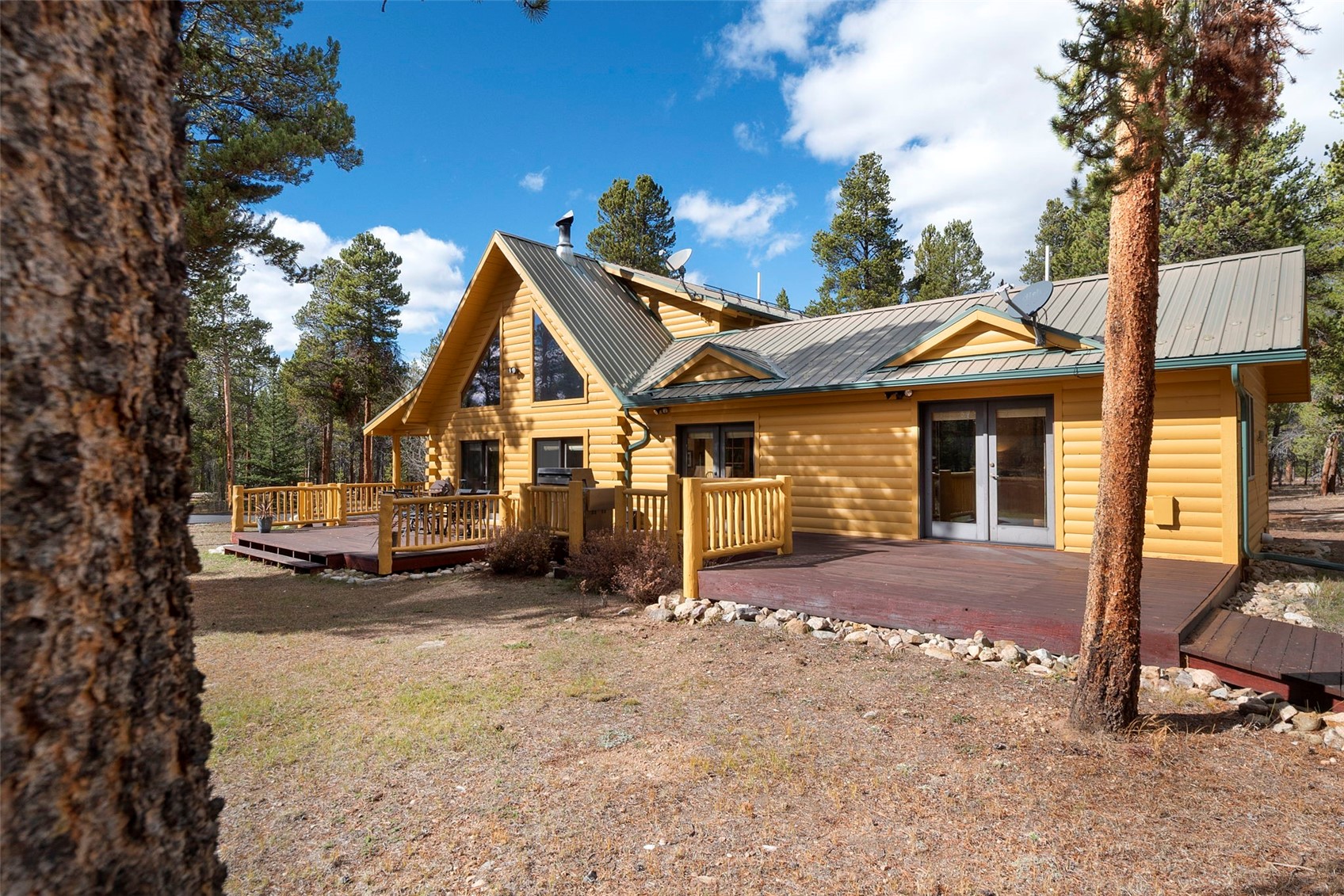 115 Lupine Lane Leadville CO 80461