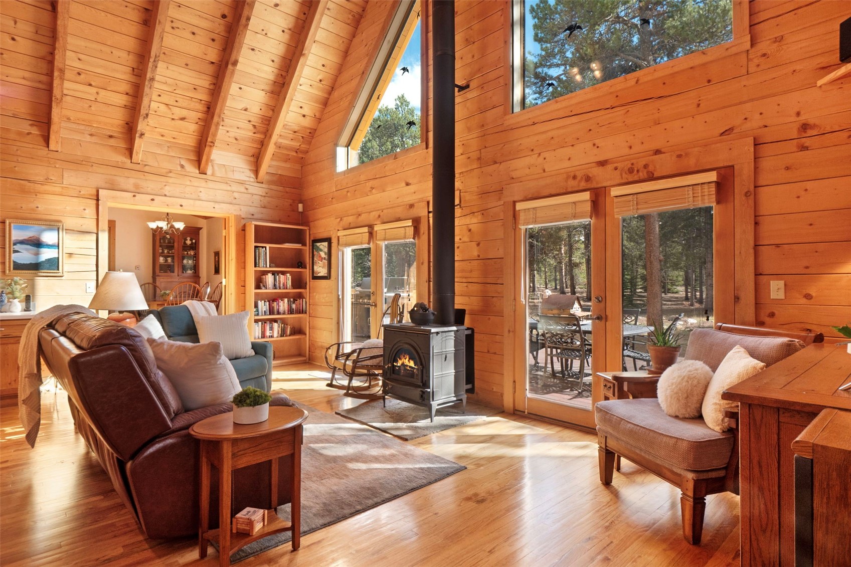115 Lupine Lane Leadville CO 80461