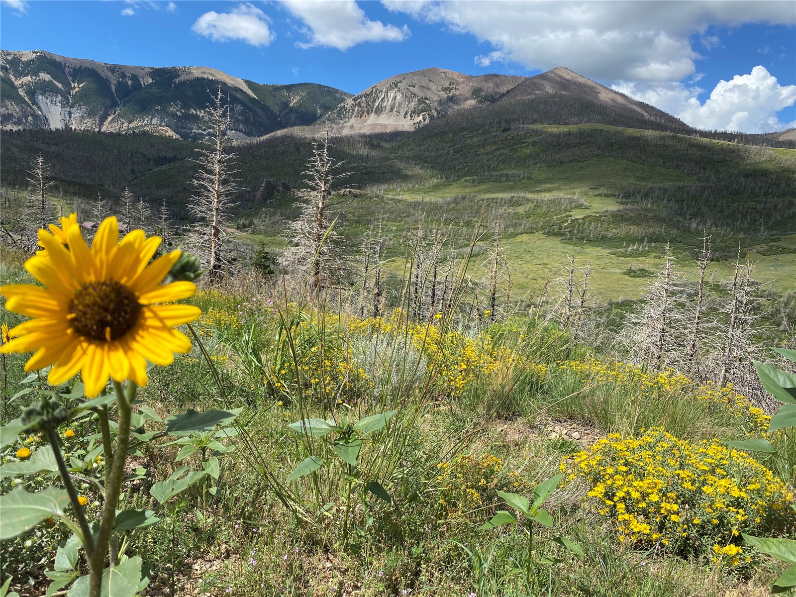 1833 Yellowstone Creek Road Other CO 81055