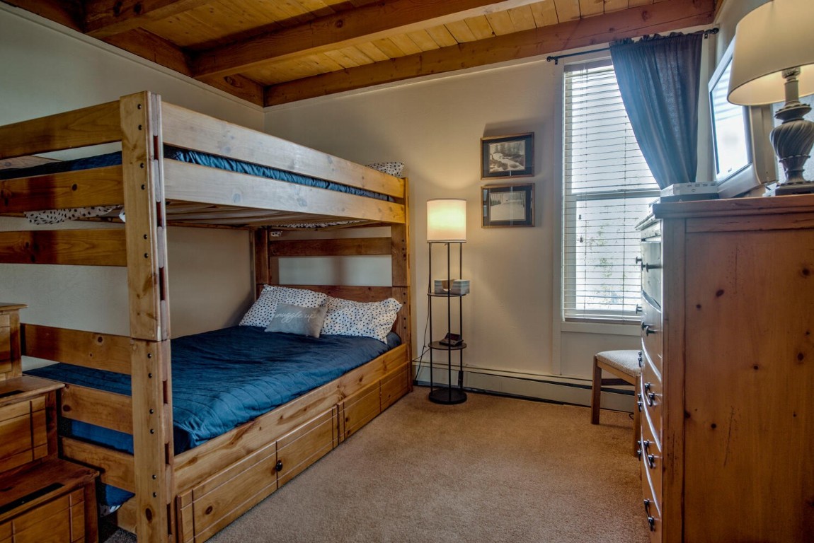 2300 Lodgepole Circle Silverthorne CO 80498