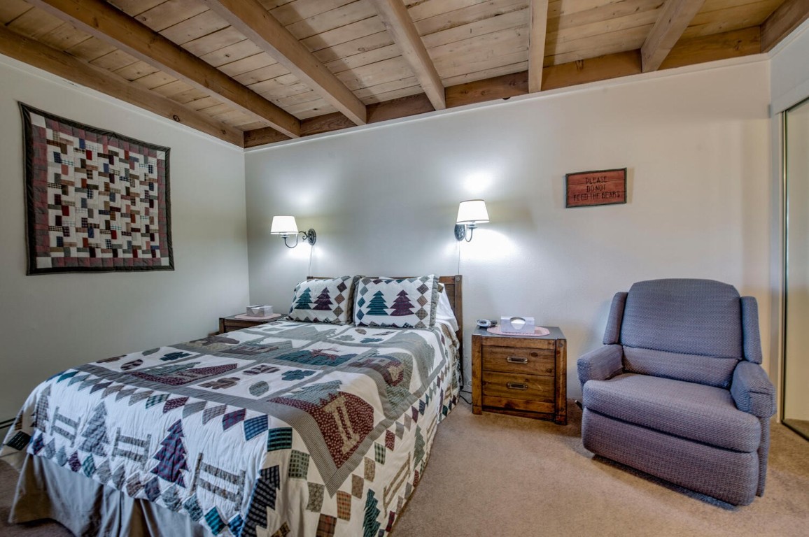 2300 Lodgepole Circle Silverthorne CO 80498
