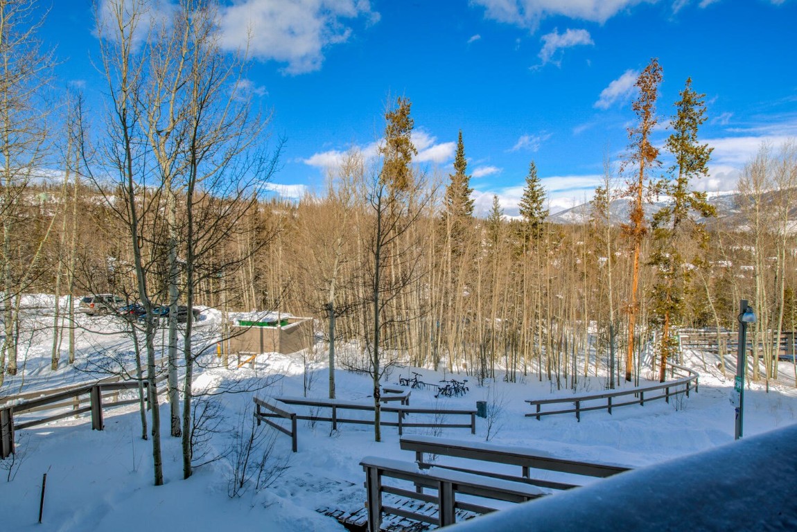 2300 Lodgepole Circle Silverthorne CO 80498