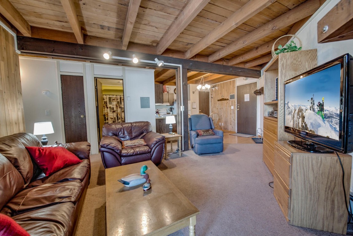 2300 Lodgepole Circle Silverthorne CO 80498