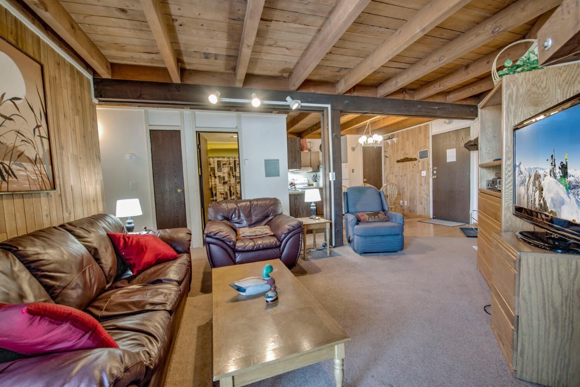 2300 Lodgepole Circle Silverthorne CO 80498