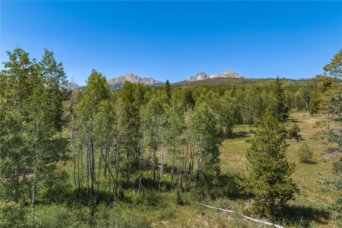 Tbd Whetstone Drive Silverthorne CO 80498