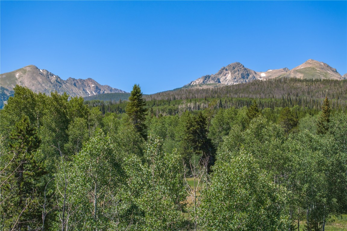 Tbd Whetstone Drive Silverthorne CO 80498