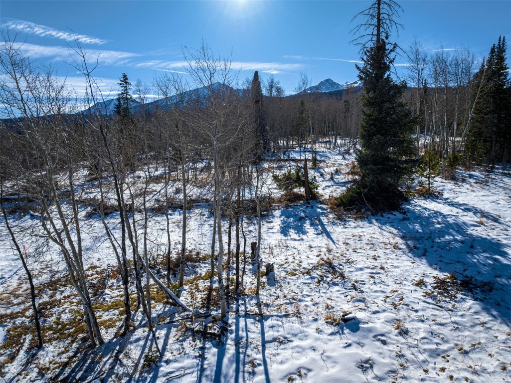 Tbd Whetstone Drive Silverthorne CO 80498
