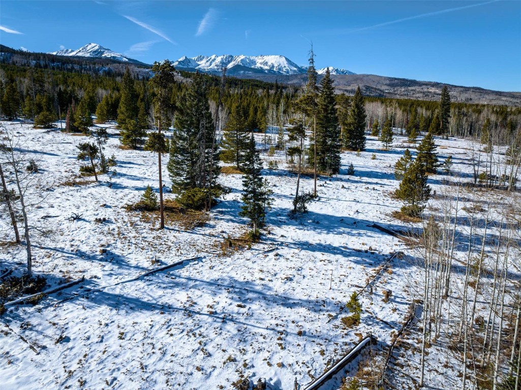 Tbd Whetstone Drive Silverthorne CO 80498