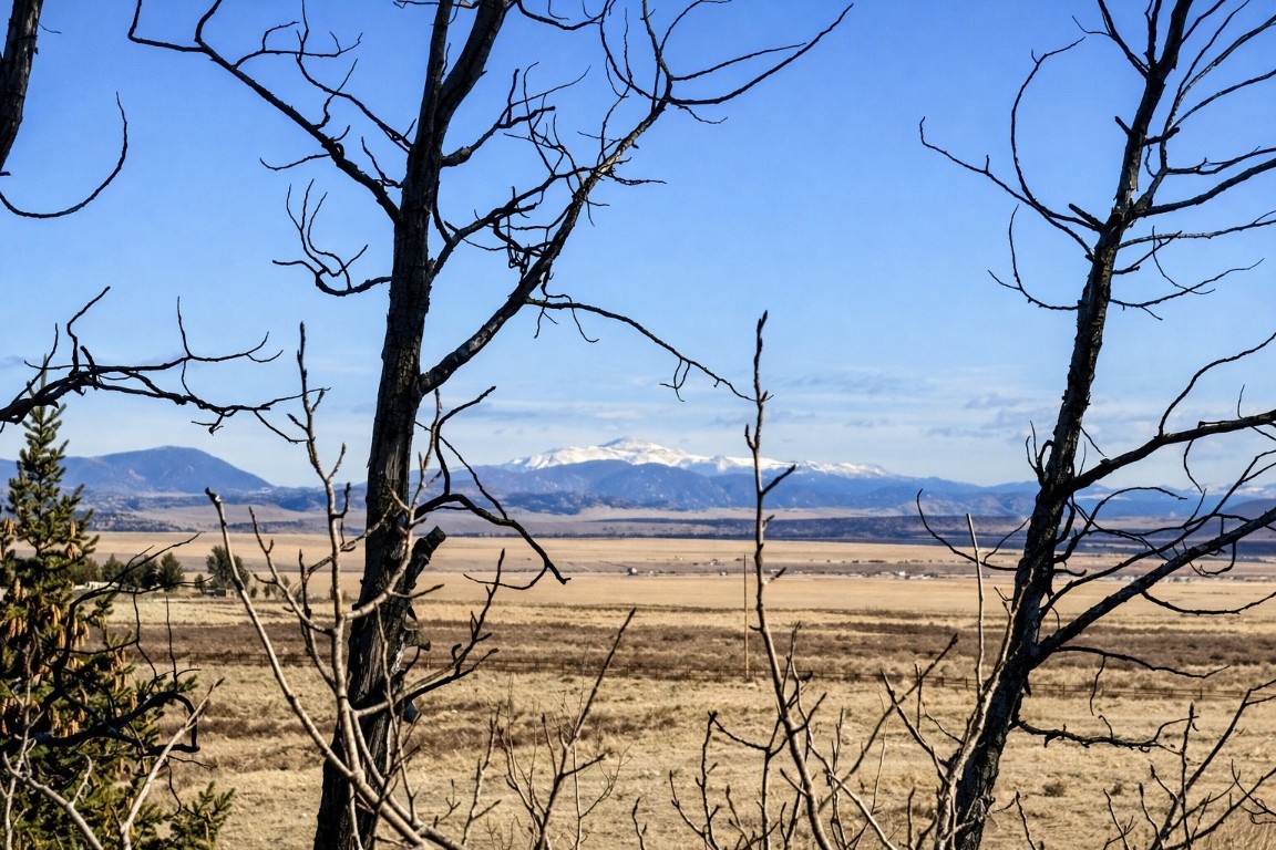 155 Lamb Mountain Road Fairplay CO 80440