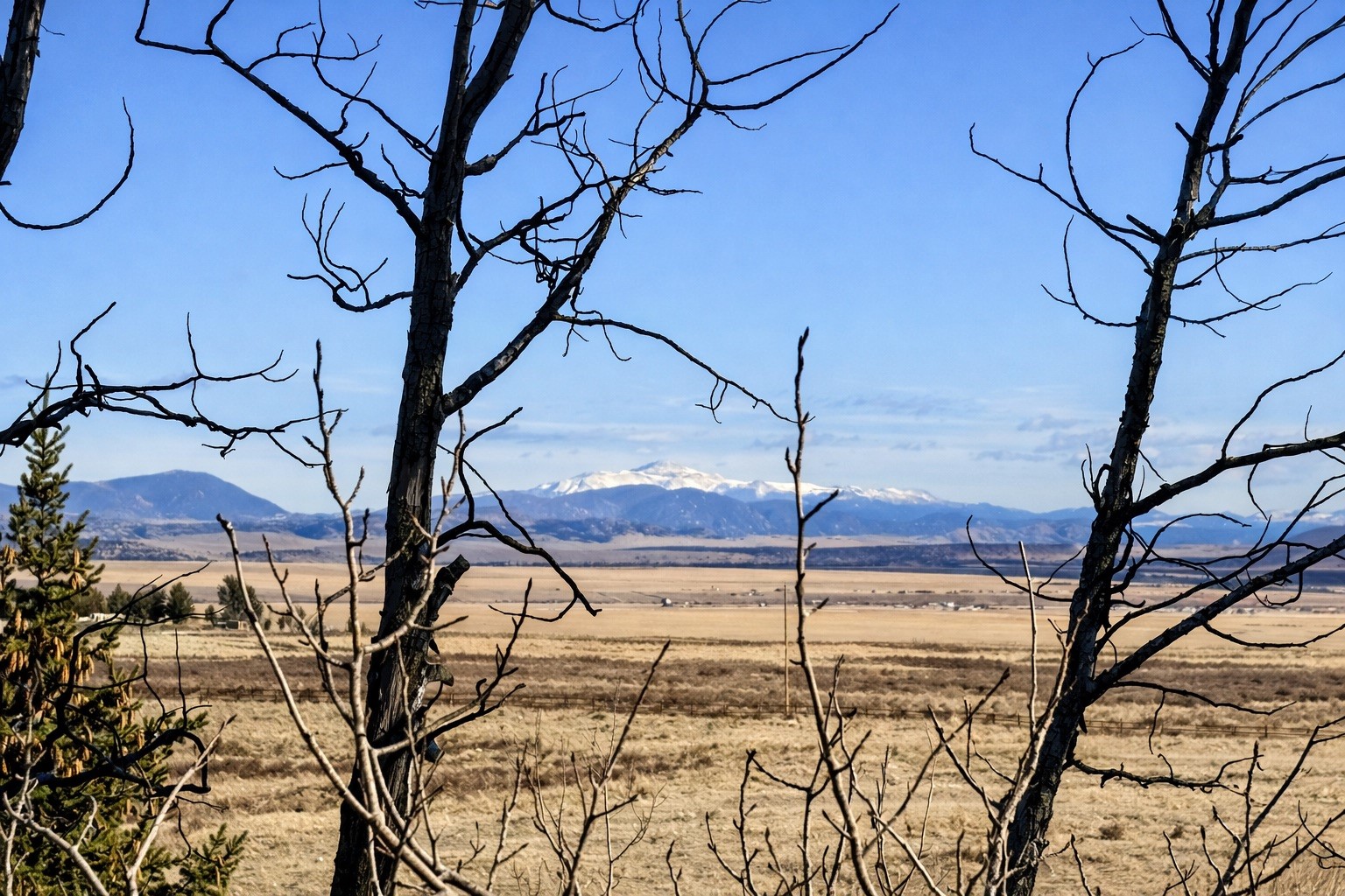 155 Lamb Mountain Road Fairplay CO 80440
