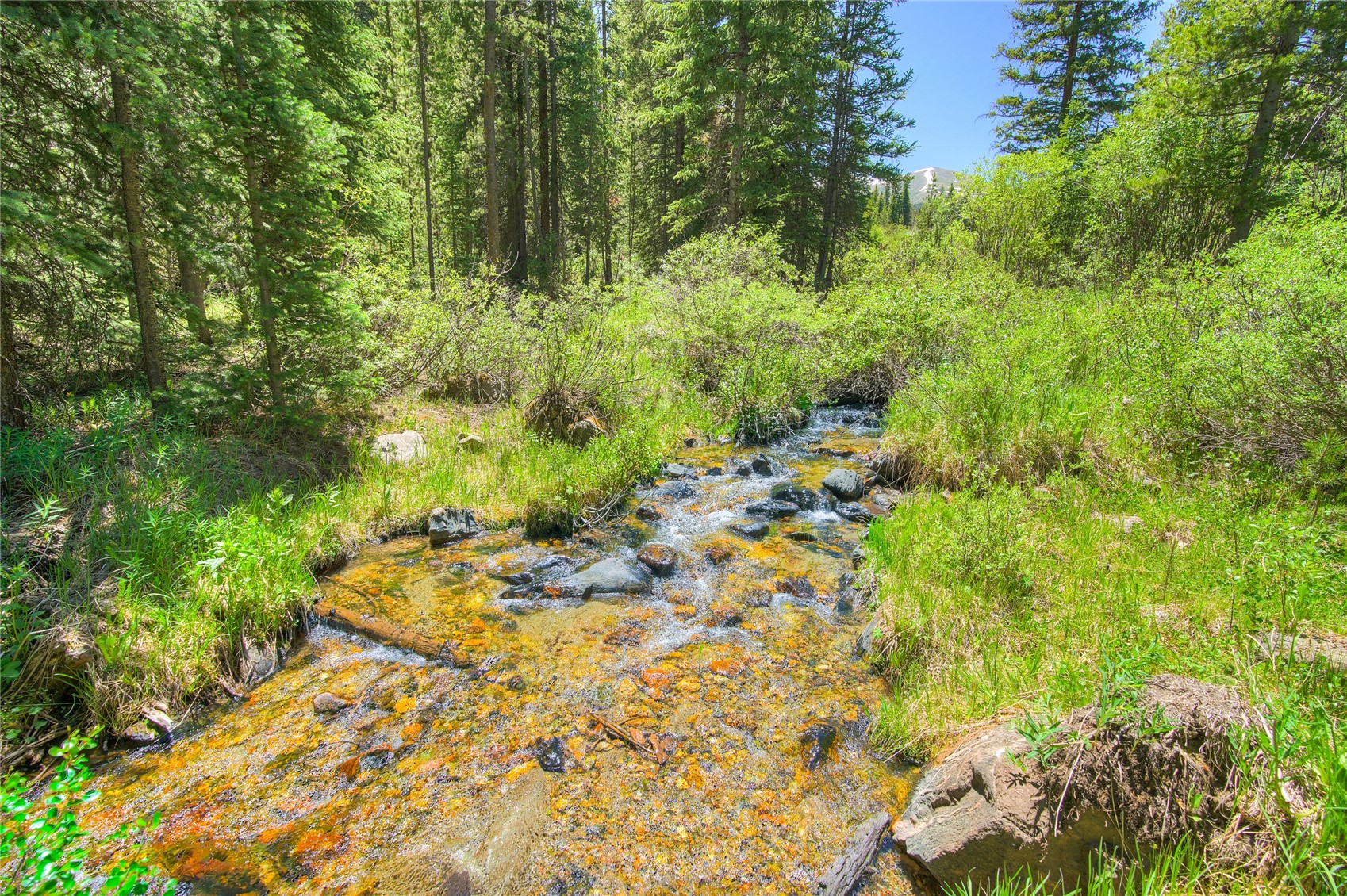 133 Adams Way Breckenridge CO 80424