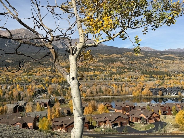 99 Dragonfly Lane Silverthorne CO 80498