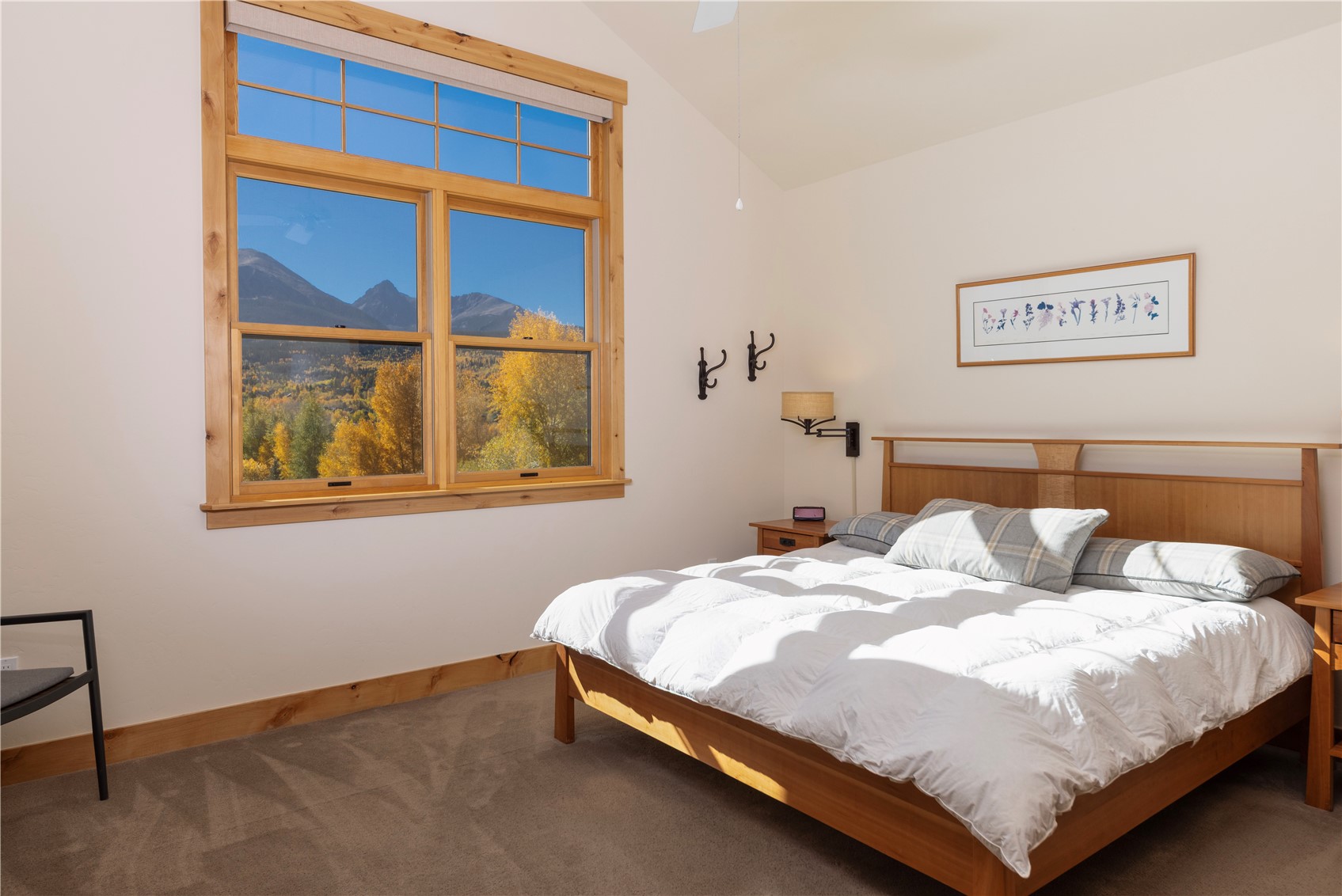 99 Dragonfly Lane Silverthorne CO 80498