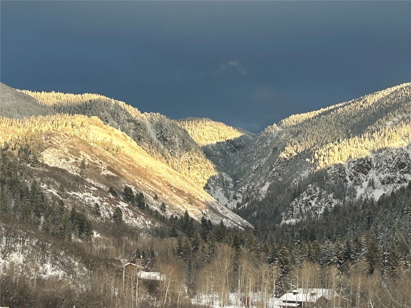 33855 Canyon Court Steamboat Springs CO 80487