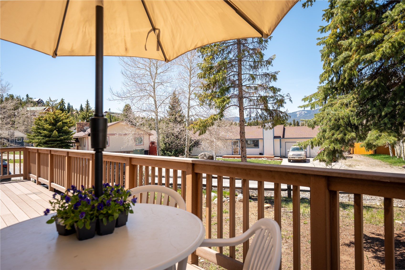 32 Canyon Trail Dillon CO 80435