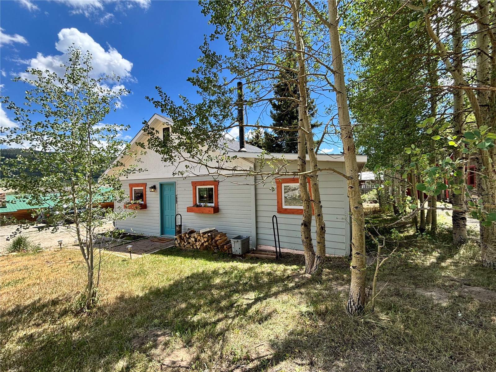 486 Cr-10 Alma CO 80440