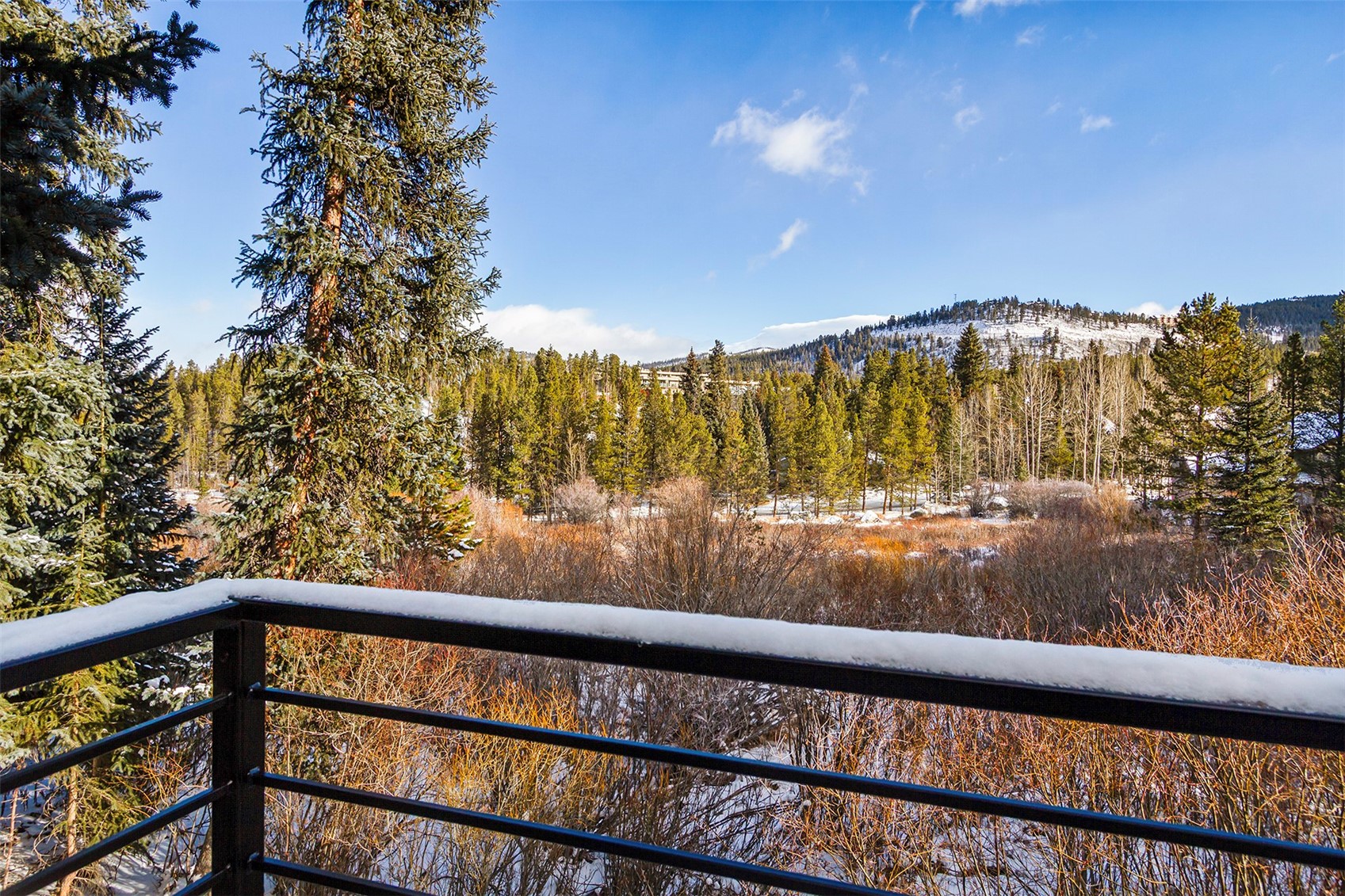 181 Tomahawk Lane Breckenridge CO 80424