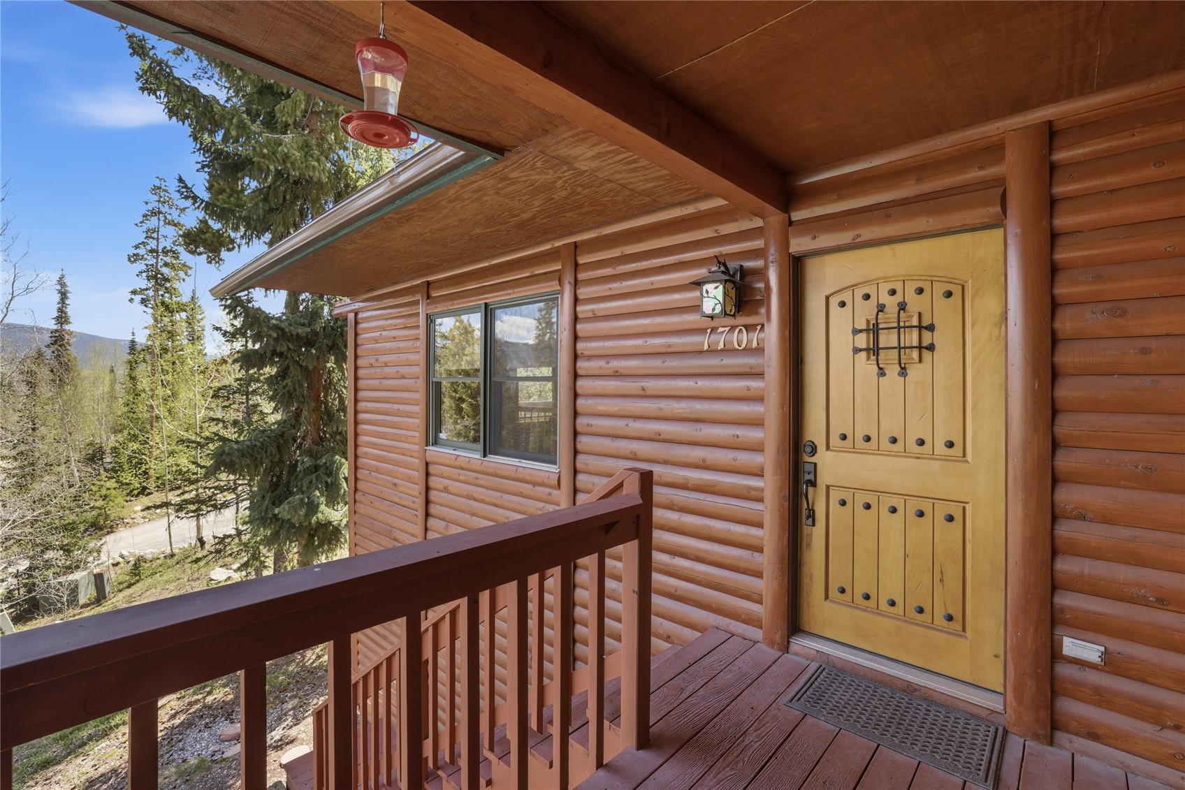 1701 Cutty Sark Court Wildernest CO 80498