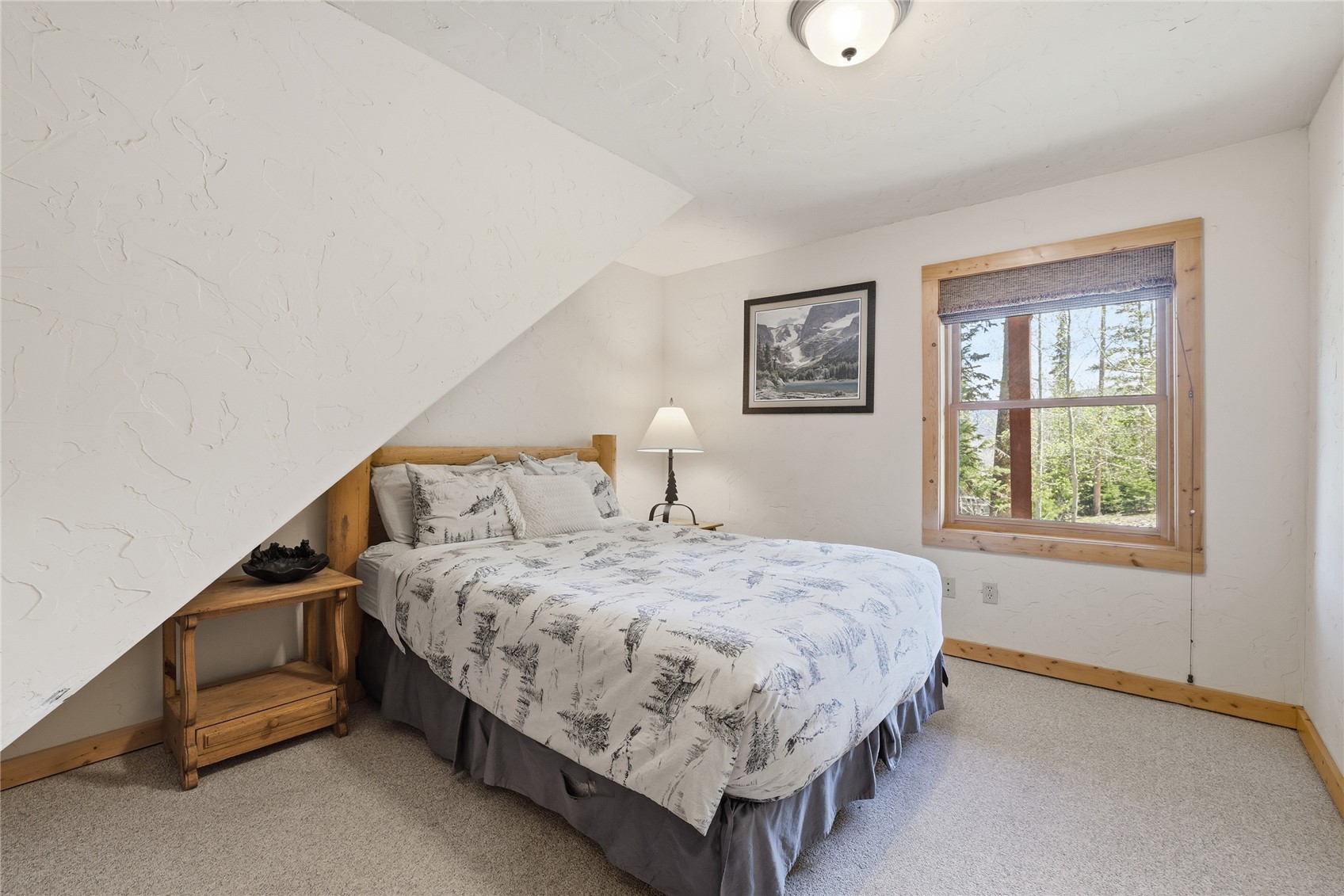 1701 Cutty Sark Court Wildernest CO 80498