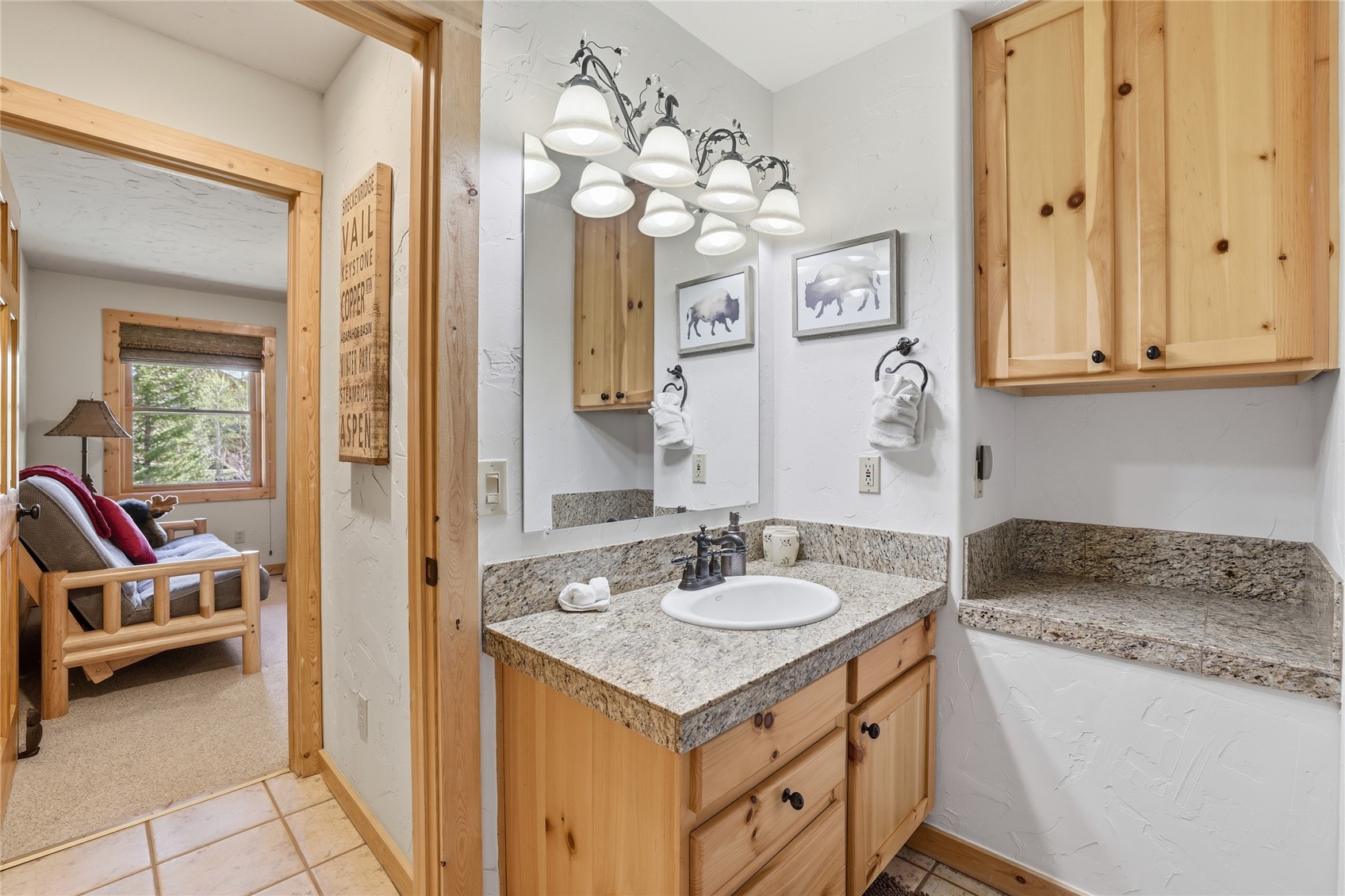 1701 Cutty Sark Court Wildernest CO 80498