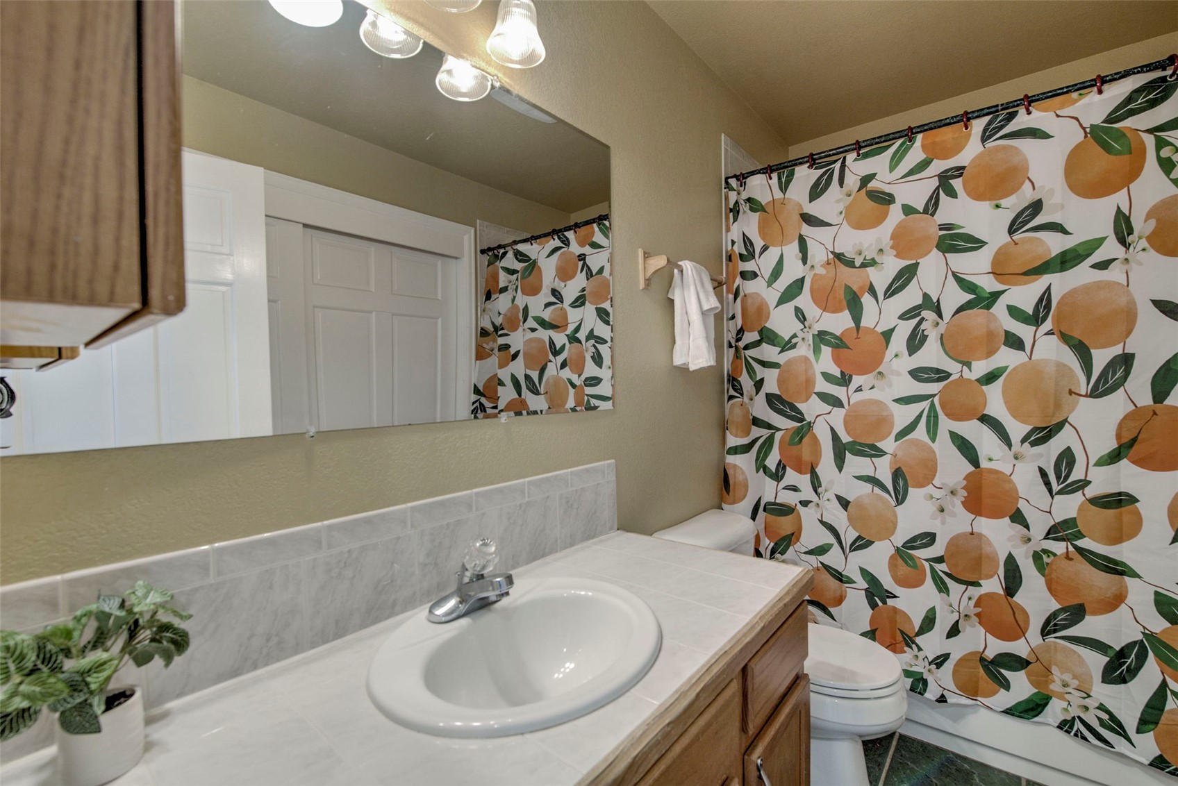 119 Bristlecone Lane Fairplay CO 80440