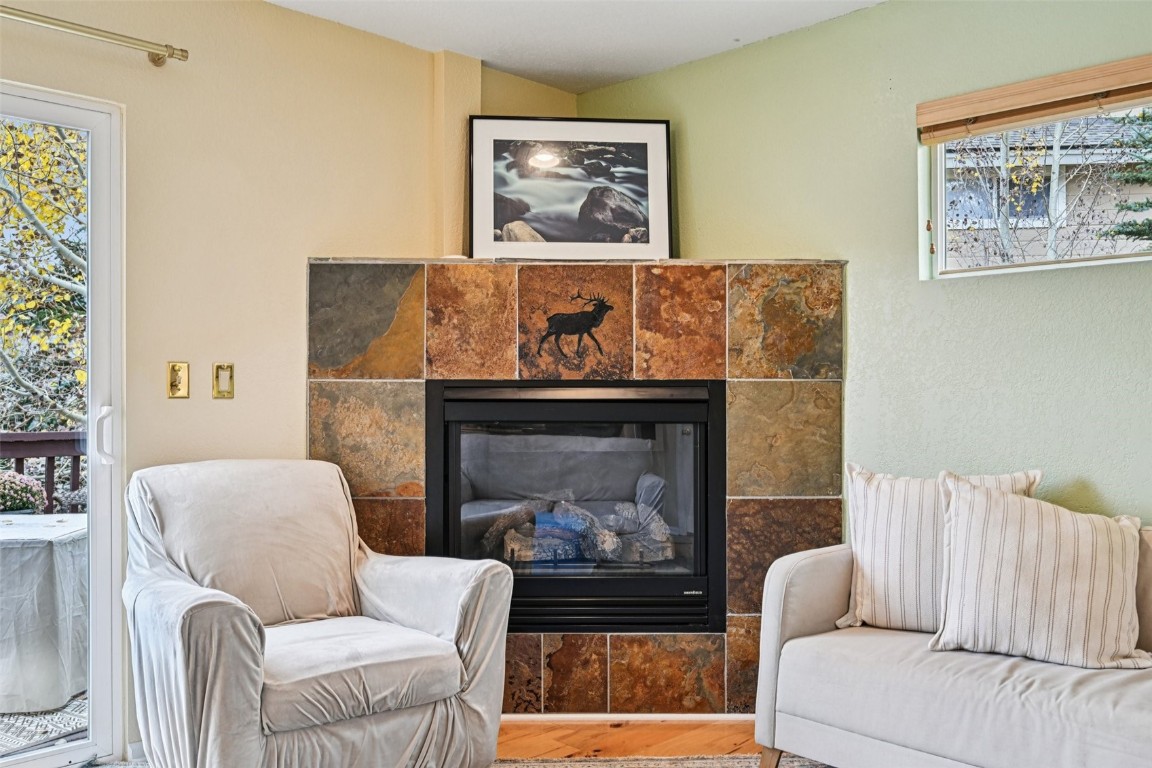 1109 Royal Coachman Boulevard Dillon CO 80435