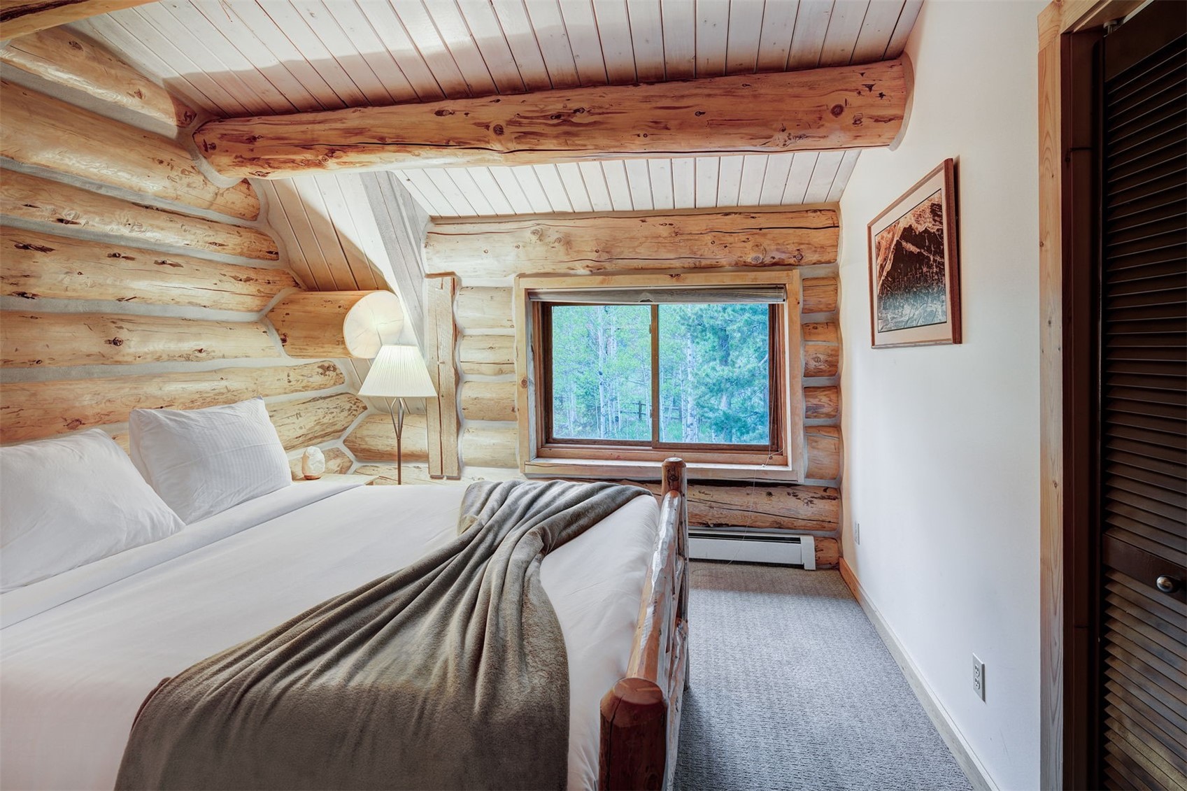 232 N Side Circle Silverthorne CO 80498