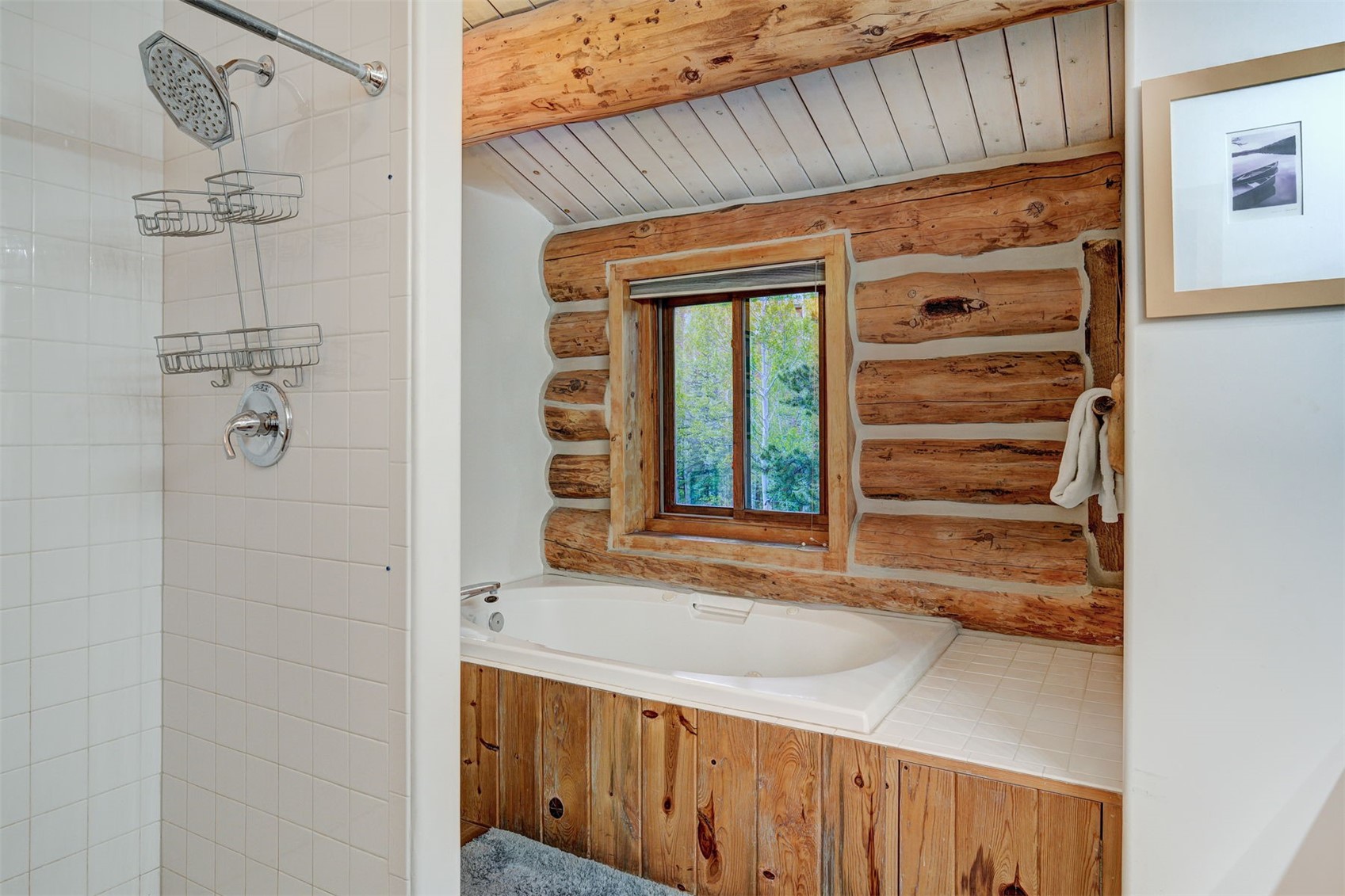 232 N Side Circle Silverthorne CO 80498