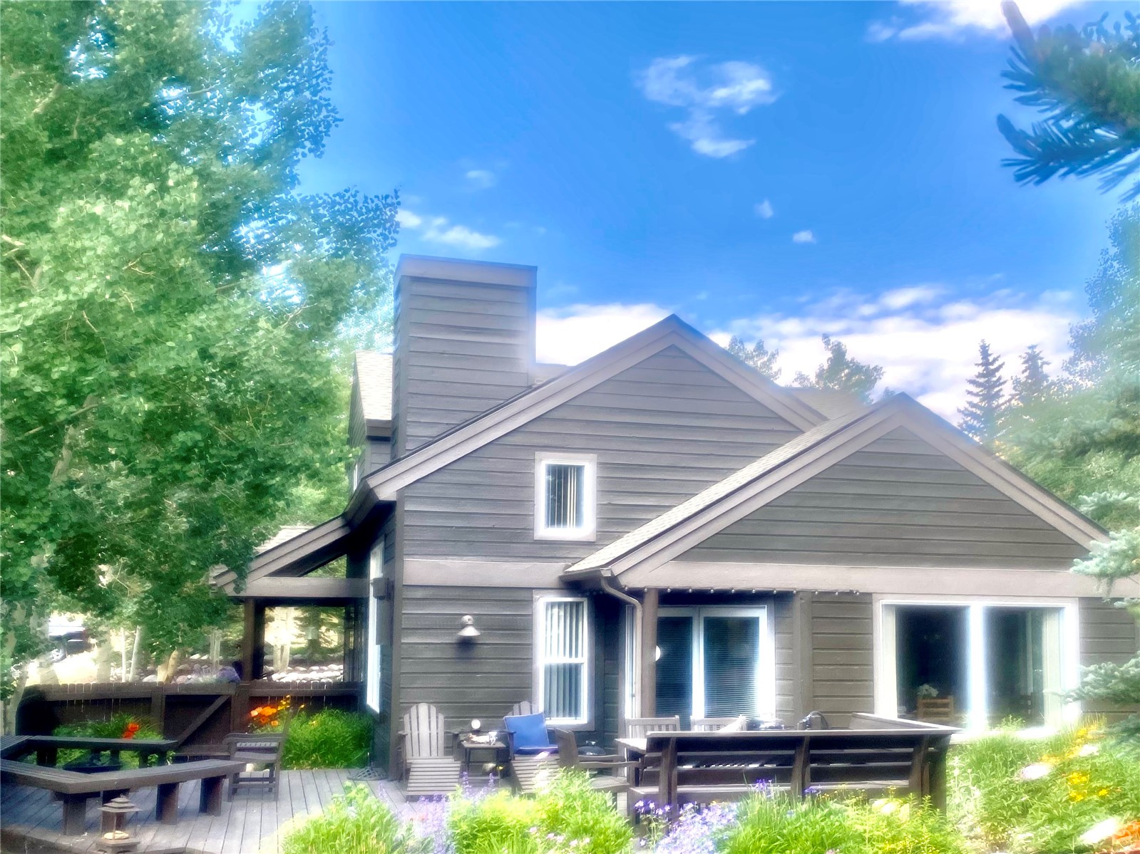 102 Blue Grouse Lane Silverthorne CO 80498