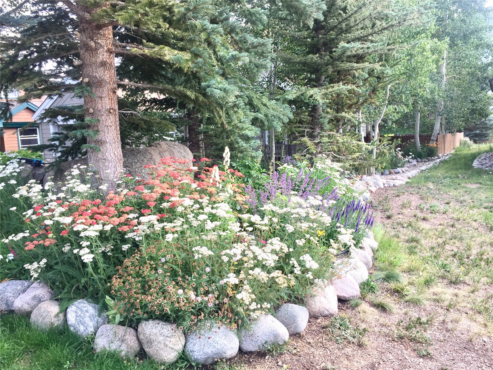 102 Blue Grouse Lane Silverthorne CO 80498
