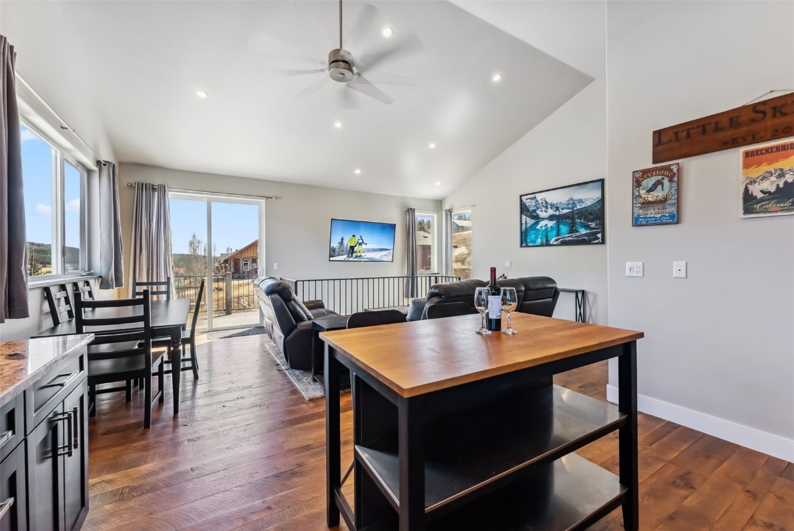 255 Flannigan Circle Alma CO 80420