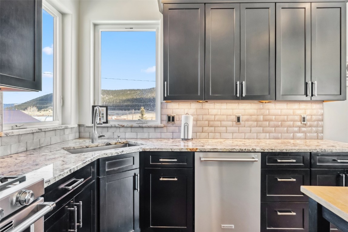 255 Flannigan Circle Alma CO 80420