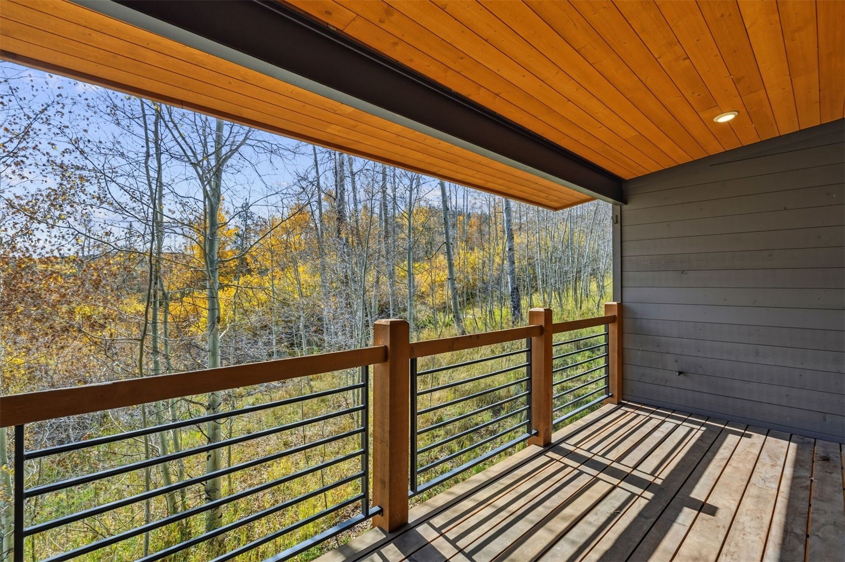 67 Coumbe Crossing Silverthorne CO 80498