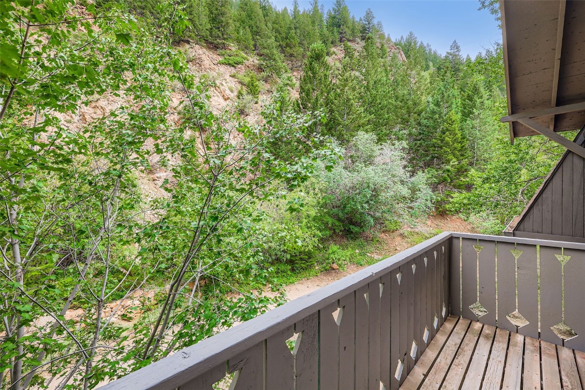 817 Valley View Drive Georgetown CO 80444