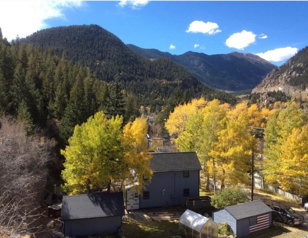 817 Valley View Drive Georgetown CO 80444
