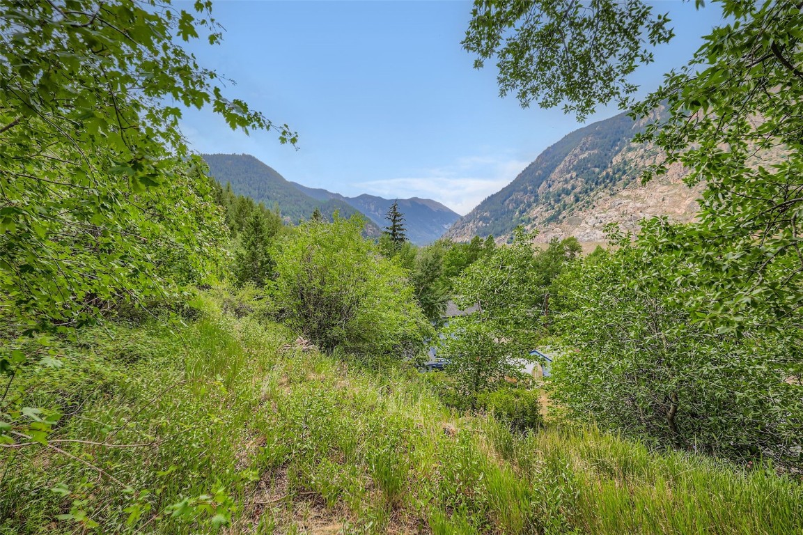817 Valley View Drive Georgetown CO 80444