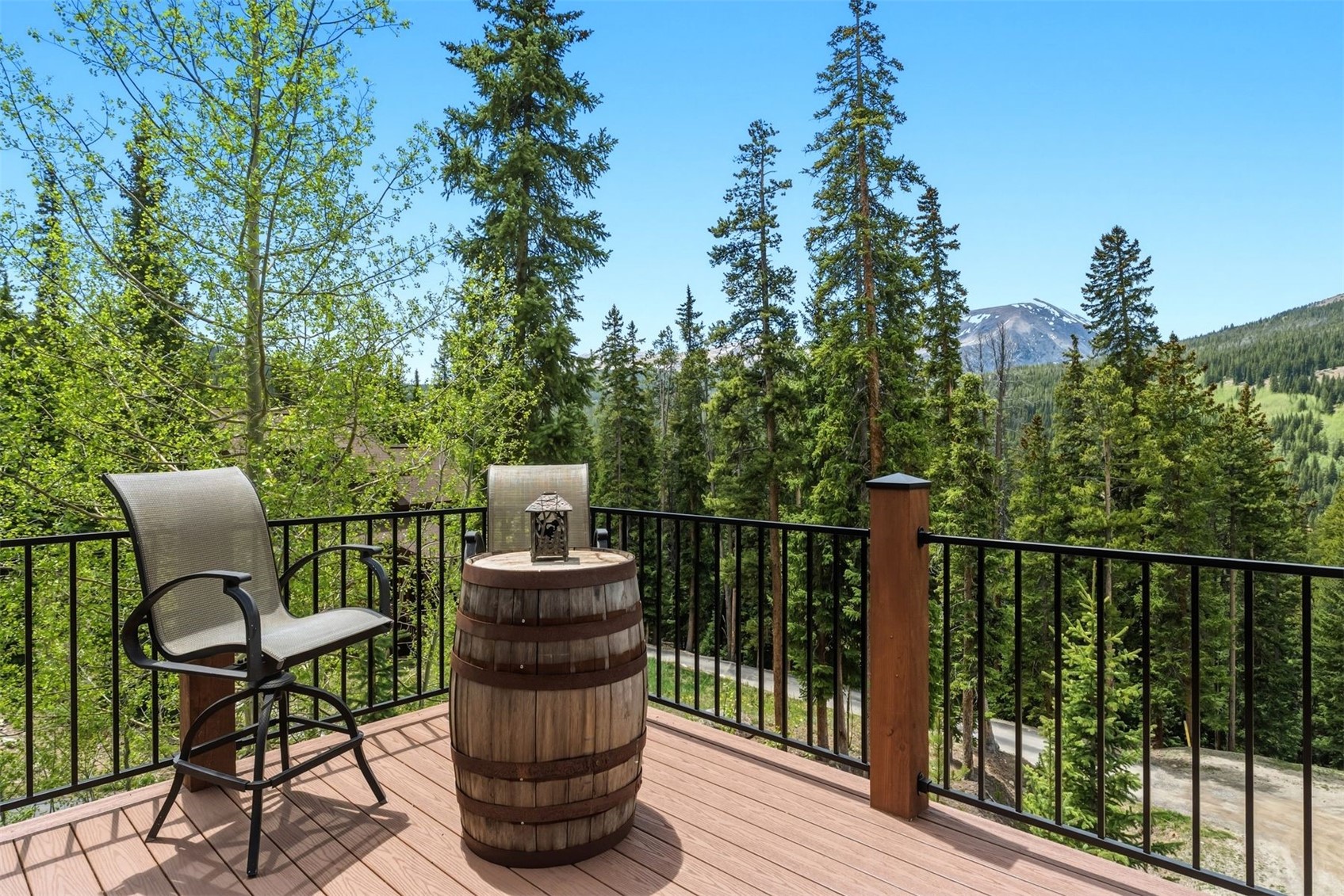 1043 Range Road Breckenridge CO 80424