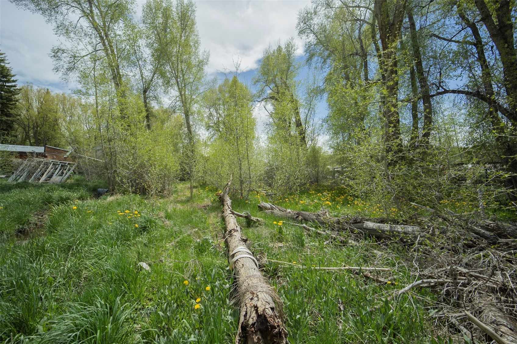 241 Moffat Avenue Yampa CO 80483