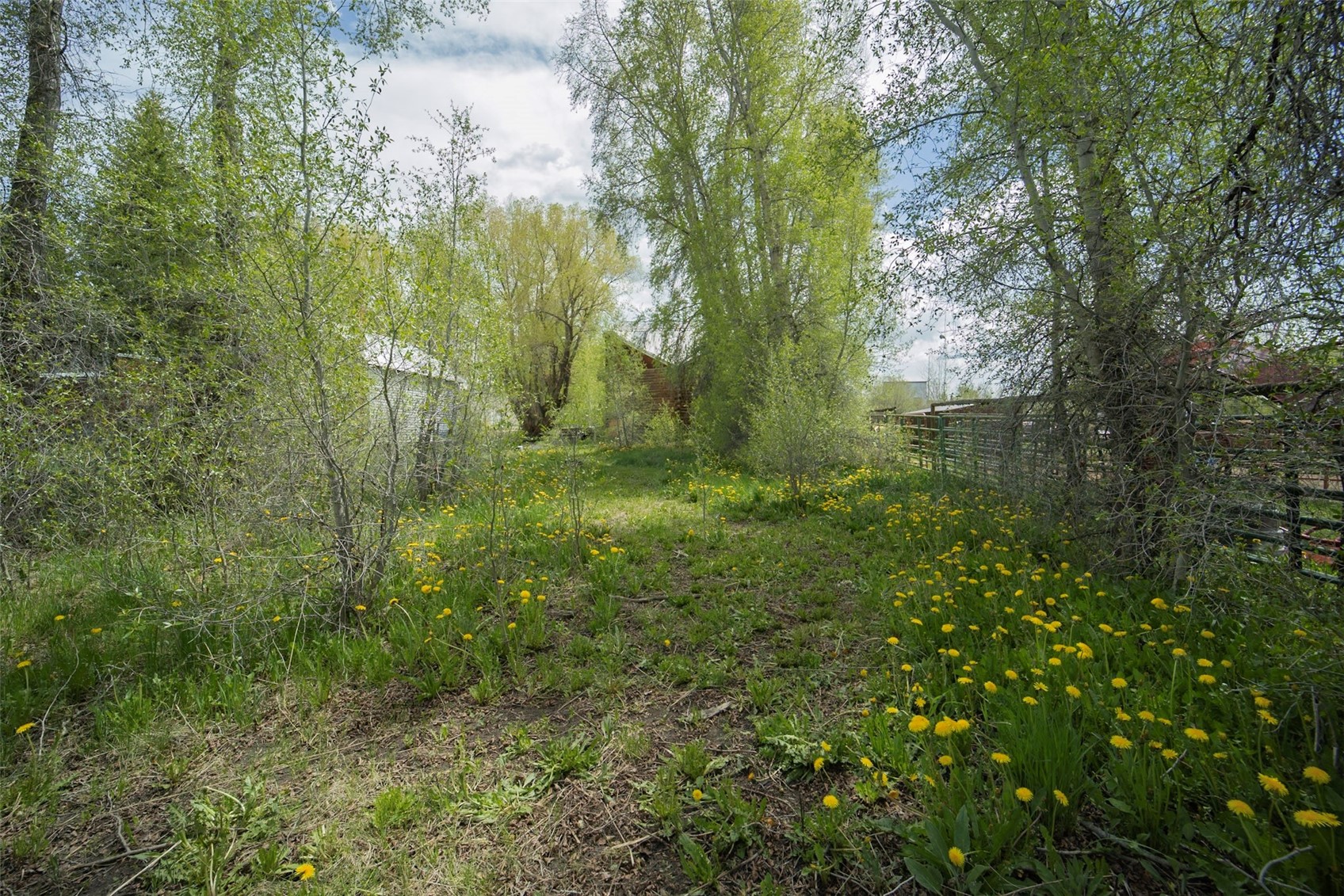 241 Moffat Avenue Yampa CO 80483