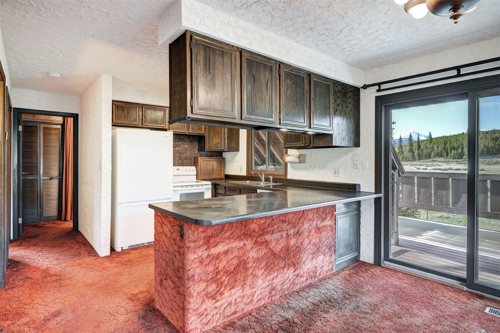 66 Lake View Circle E Breckenridge CO 80424