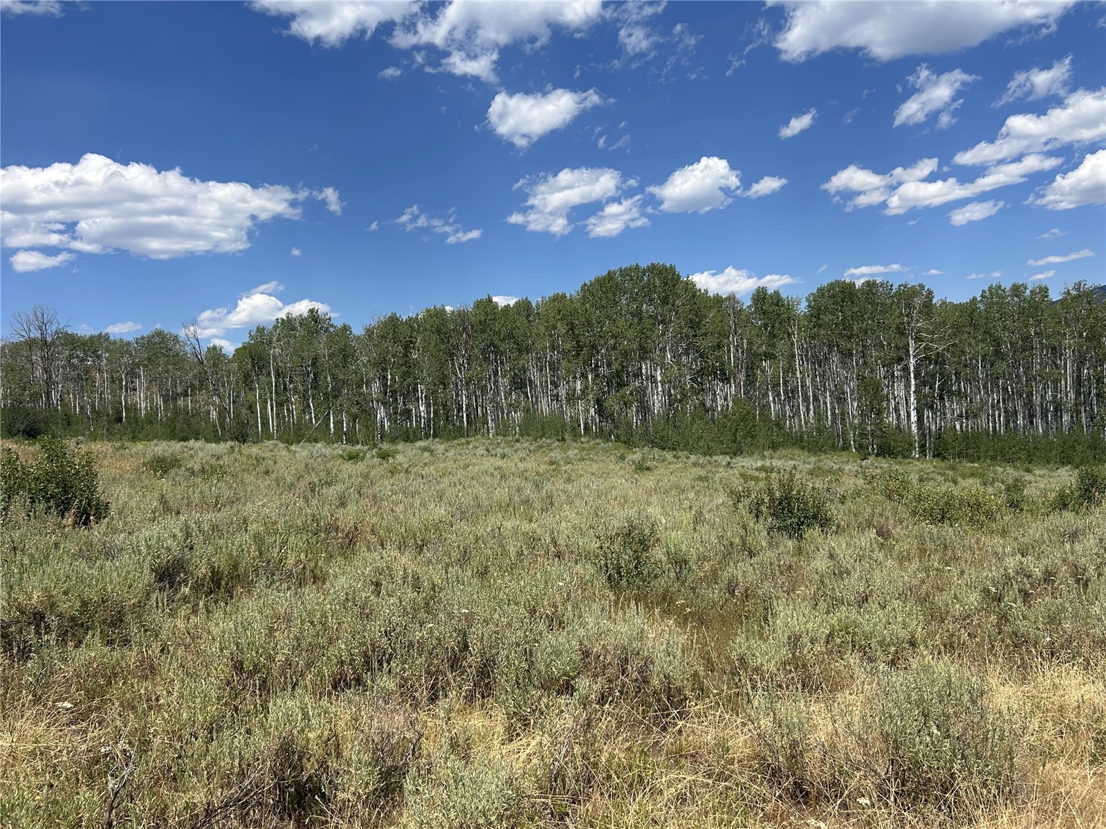 45995 County Road 129 Steamboat Springs CO 80487