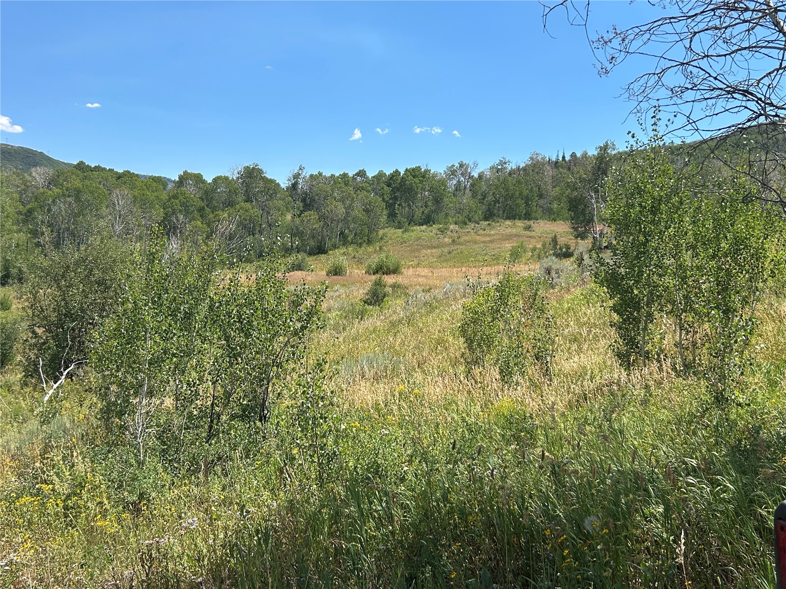 45995 County Road 129 Steamboat Springs CO 80487
