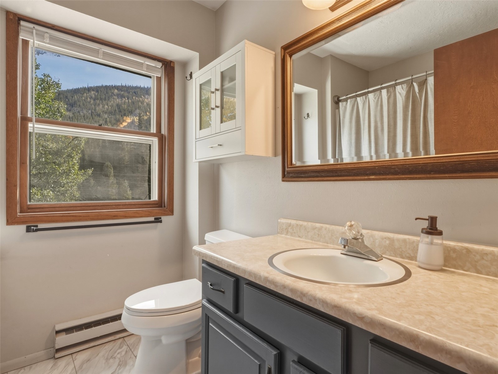 1294 Straight Creek Drive Dillon CO 80435